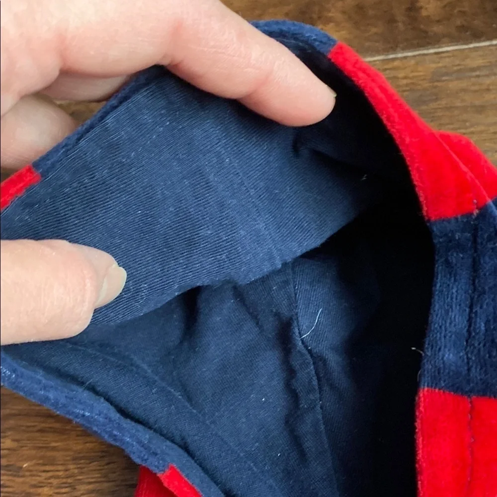 Ralph Lauren Blue and Red Striped Hoodie